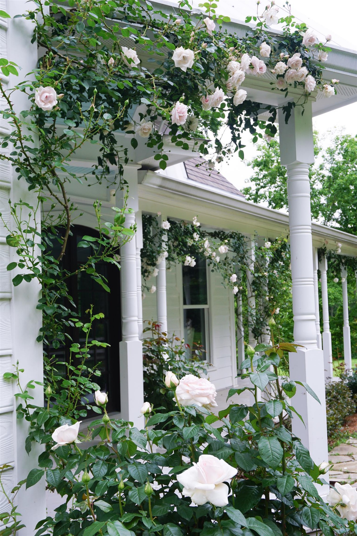 2949 Beulah Church Road Arrington, TN 37014 - Photo 18 of 27 Gallery Image 18