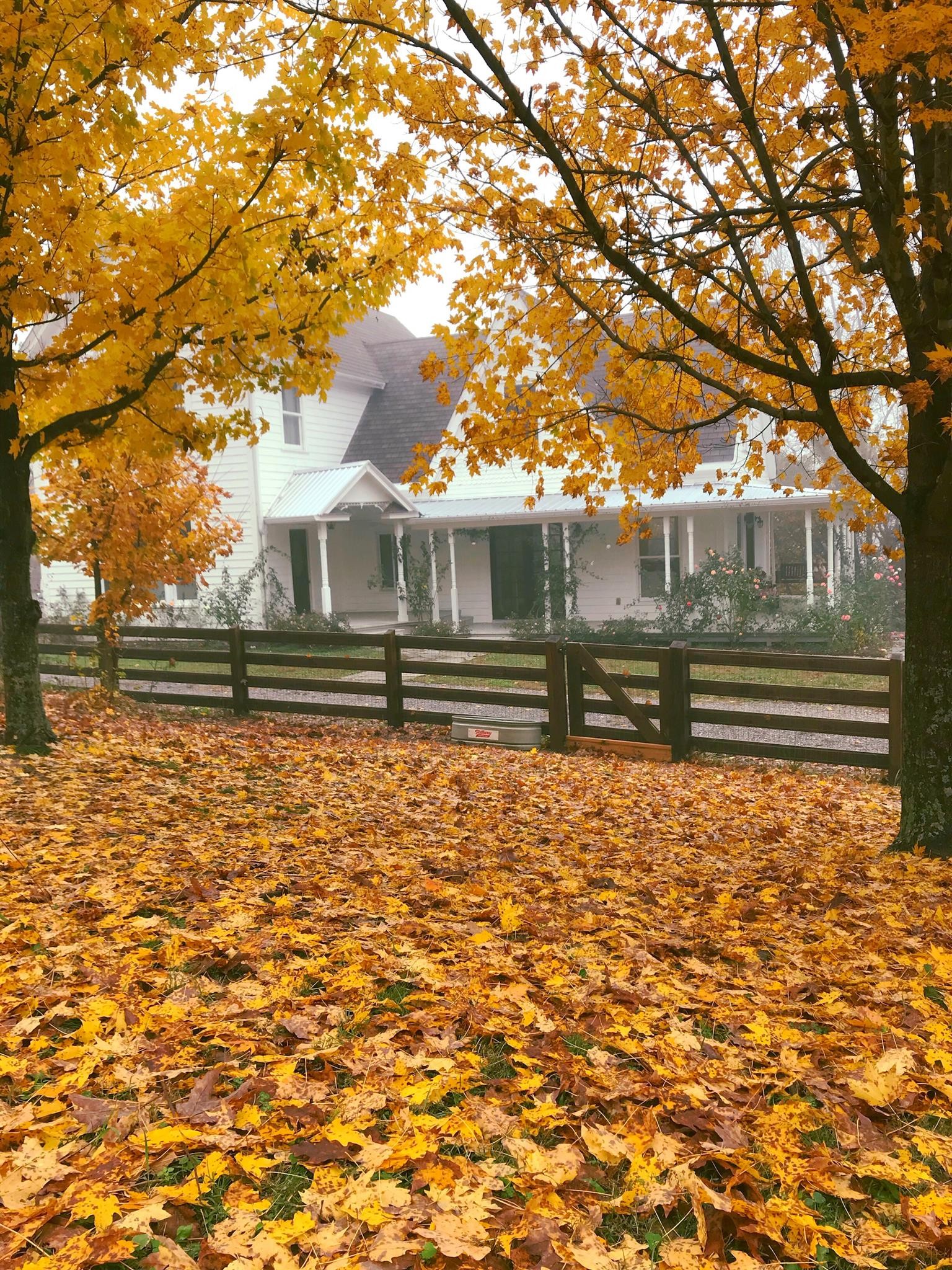 2949 Beulah Church Road Arrington, TN 37014 - Photo 20 of 27 Gallery Image 20