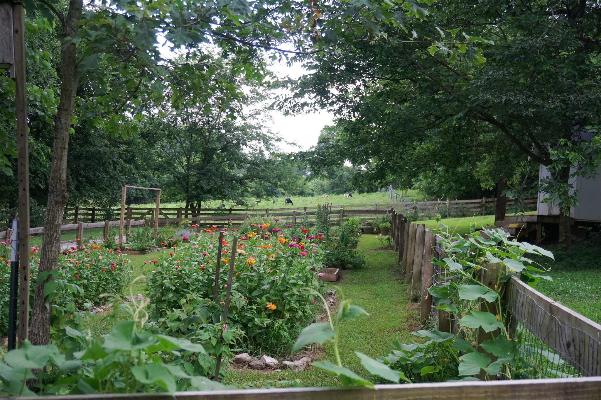 2949 Beulah Church Road Arrington, TN 37014 - Photo 24 of 27 Gallery Image 24