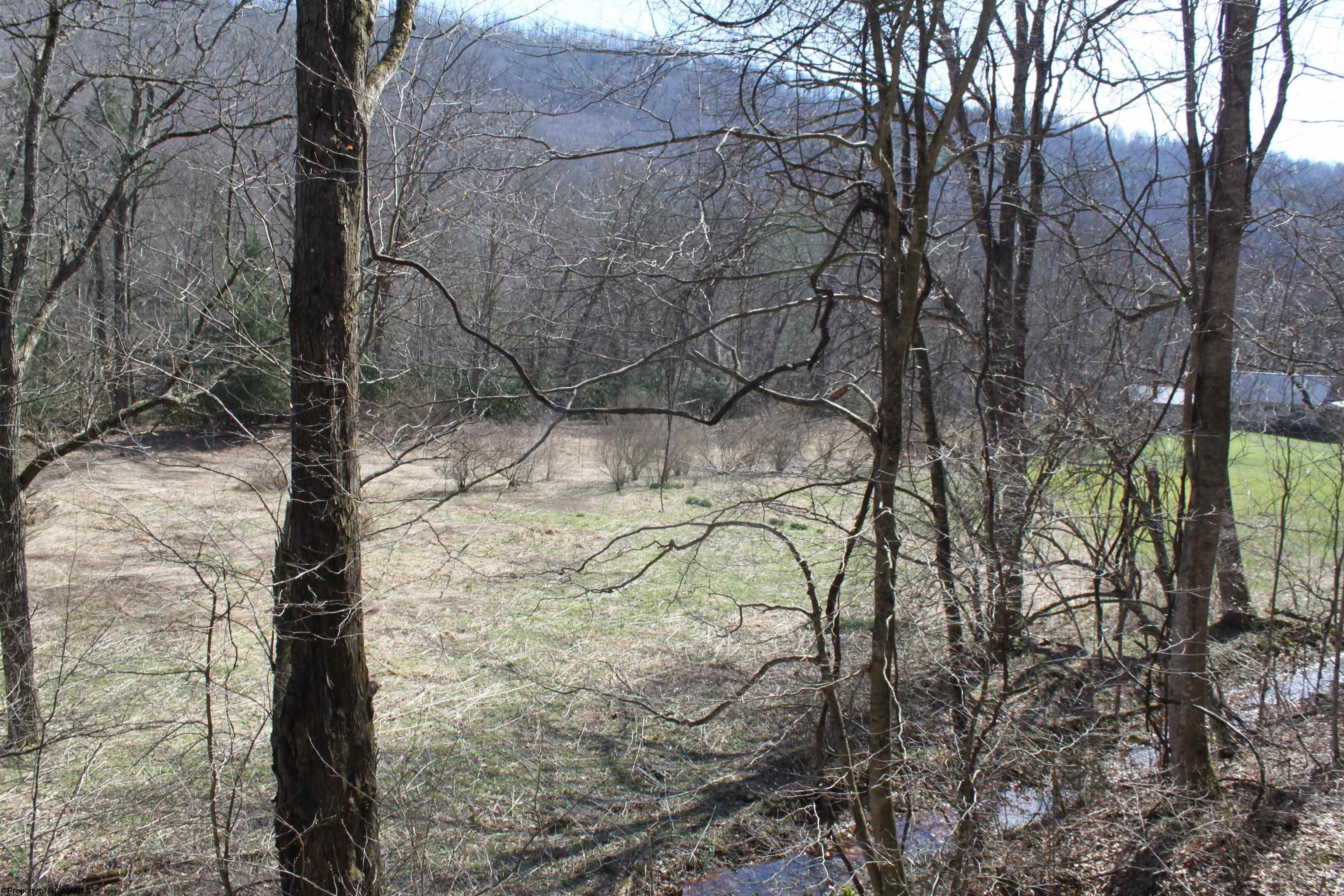 1625 Gauley River Road Webster Springs, WV 26288 - Photo 8 of 23 Gallery Image 8