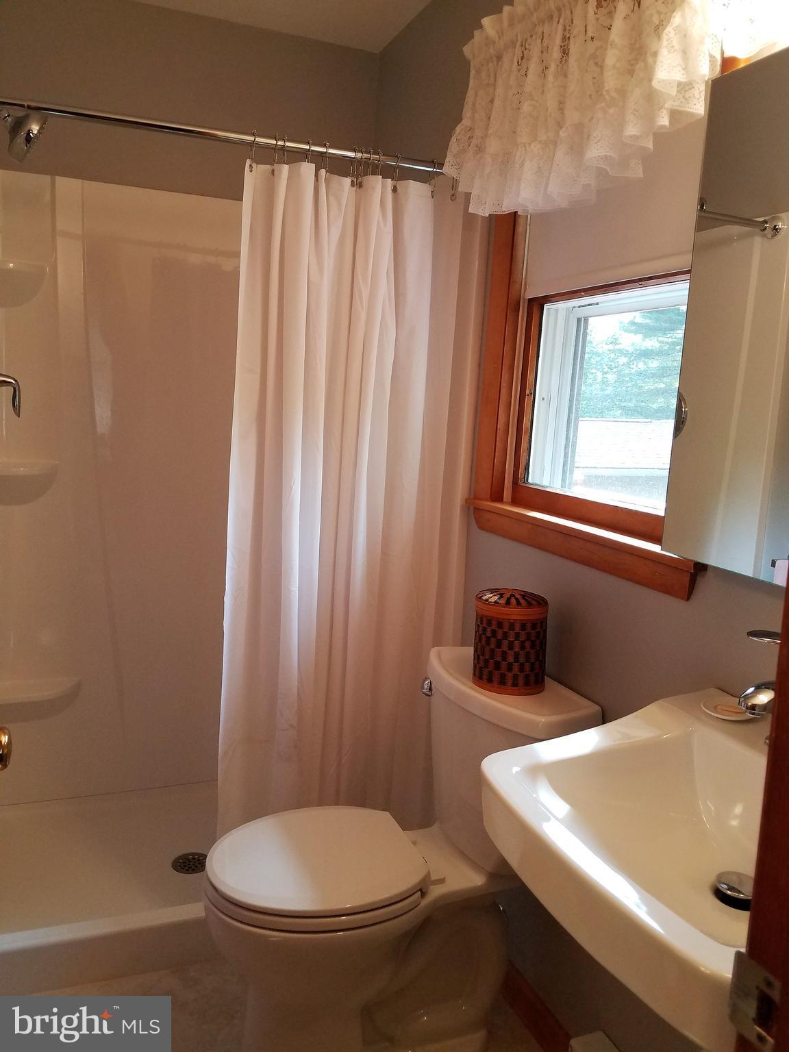 1100 Mill Creek Road Fallston, MD 21047 - Photo 9 of 25 Bath (Master)