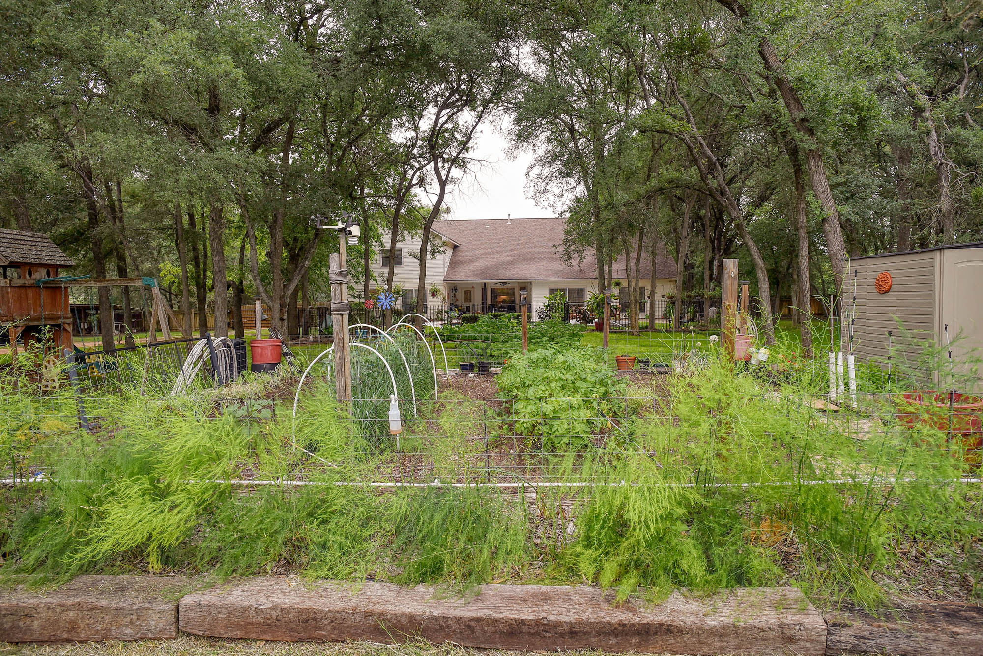 147 Spring Meadow Road Bastrop, TX 78602 - Photo 32 of 40 a view of backyard with green space