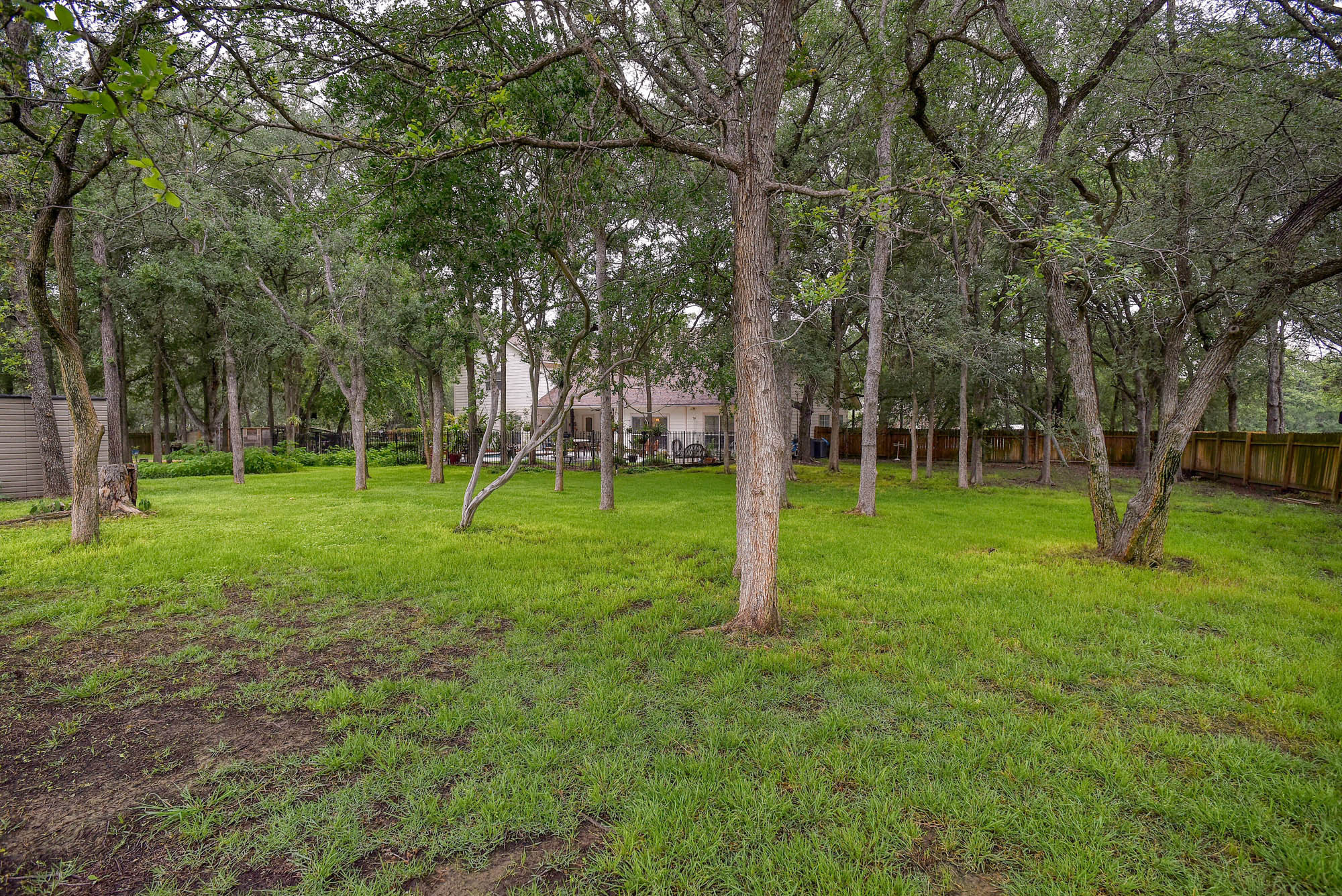 147 Spring Meadow Road Bastrop, TX 78602 - Photo 33 of 40 a view of a tree in a park