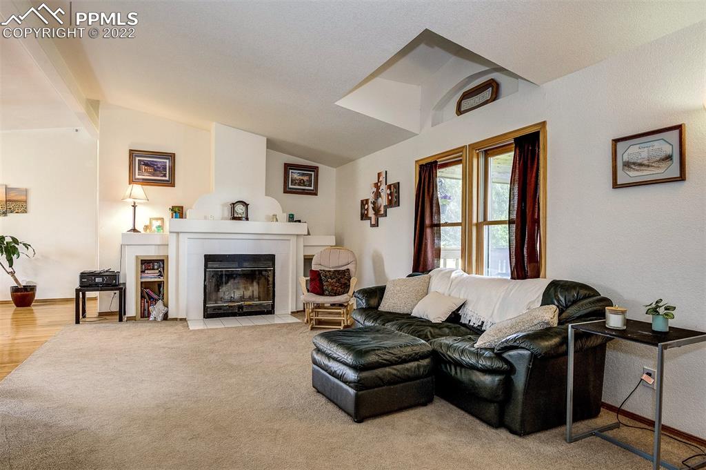 38620 Trogilo Road Rush, CO 80833 - Photo 8 of 46 a living room with furniture and a fireplace