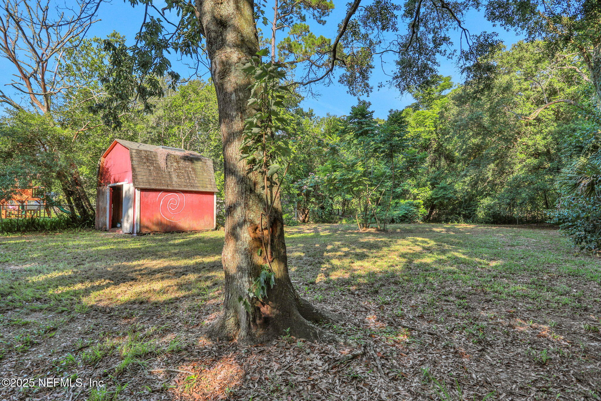 3822 Packard Drive Jacksonville, FL 32246 - Photo 35 of 38 a backyard of a house with lots of green space