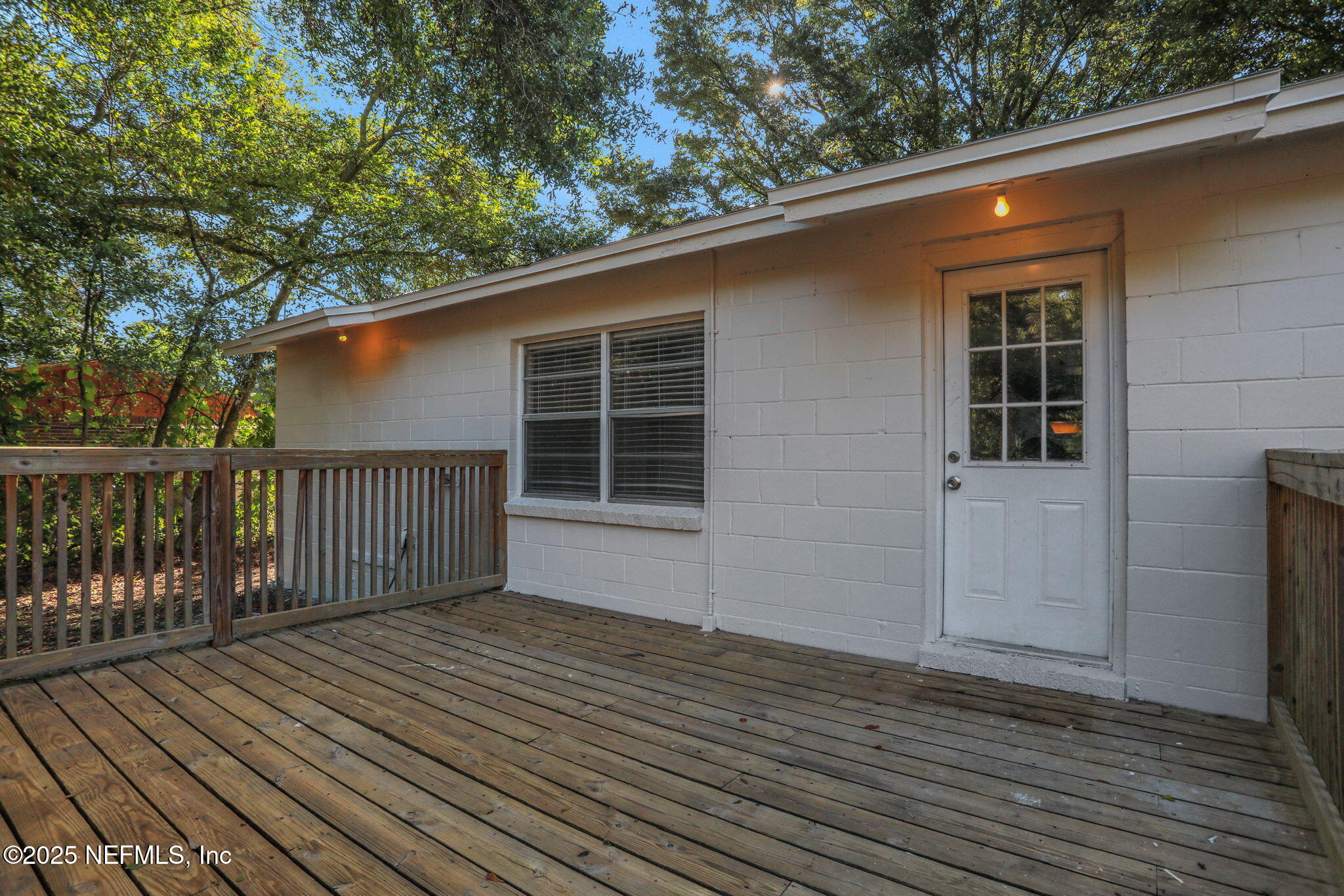 3822 Packard Drive Jacksonville, FL 32246 - Photo 38 of 38 39-web-or-mls-7O0A5392