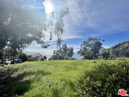 a view of a big yard with lots of green space and trees