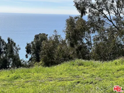 a view of outdoor space and garden