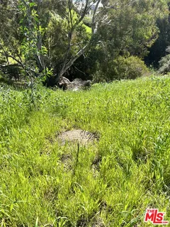 a backyard of a house with lots of green space and garden