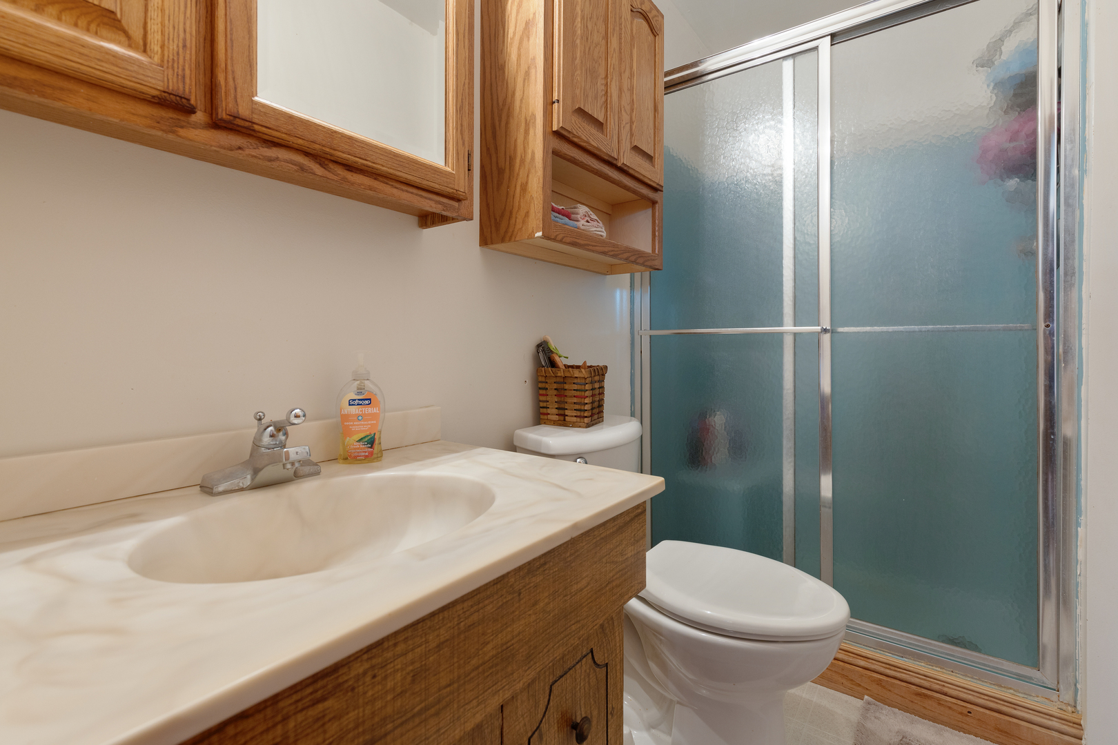50W424 Plank Road Sycamore, IL 60178 - Photo 18 of 22 a bathroom with a sink a toilet and shower