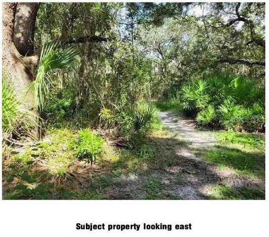 a black and white photo of a park