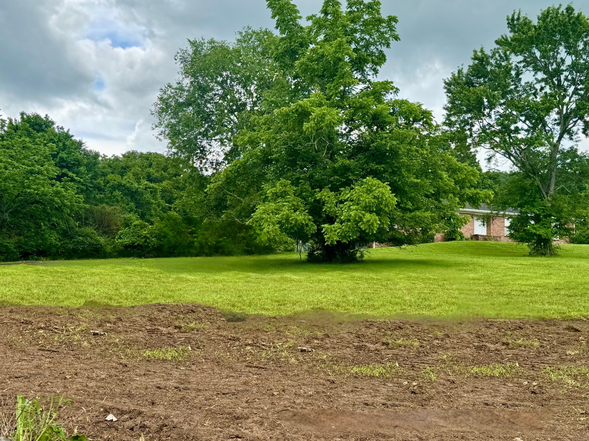 0 Rawls Creek Road Gordonsville, TN 38563 - Photo 11 of 12 a view of a field of grass and trees