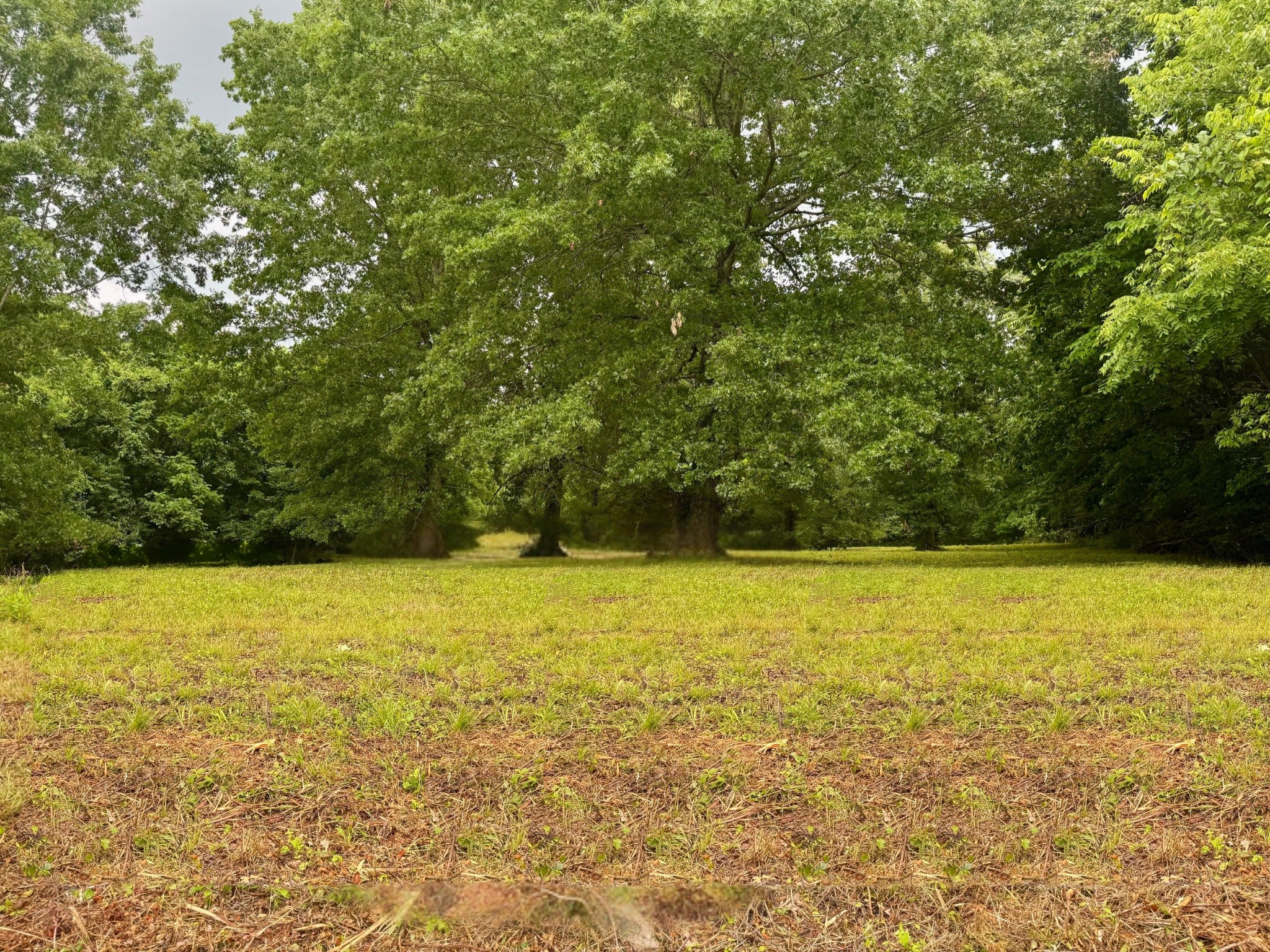 0 Rawls Creek Road Gordonsville, TN 38563 - Photo 12 of 12 a view of an ocean