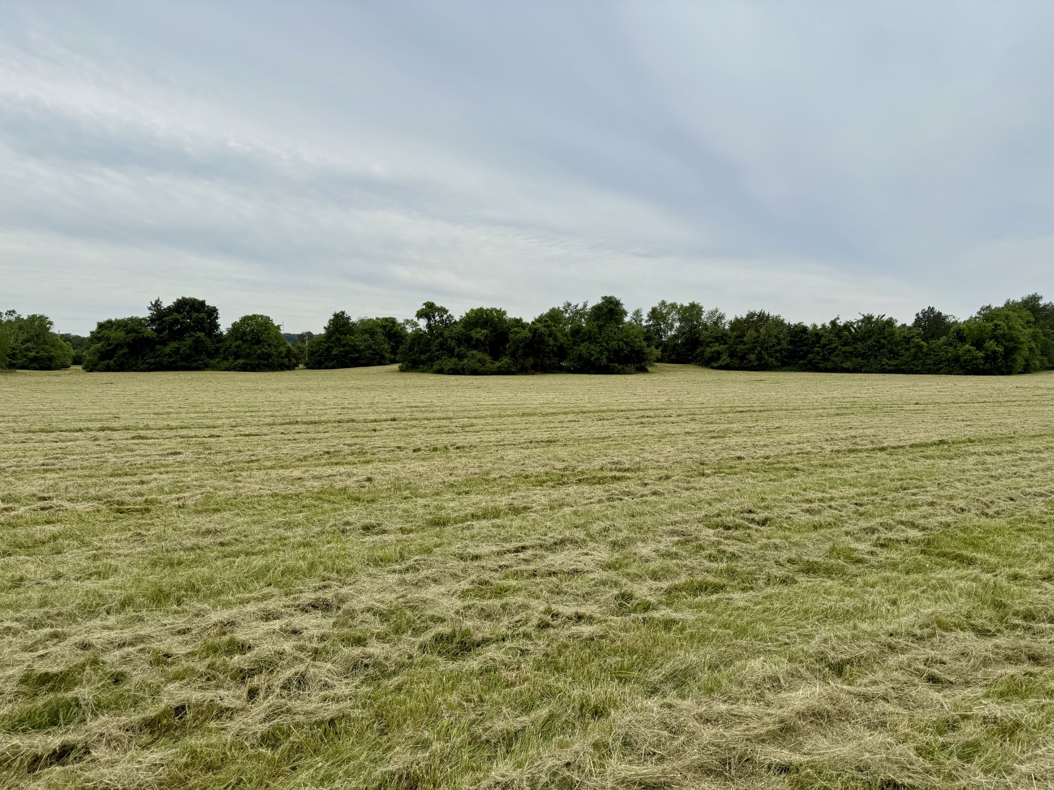 0 Rawls Creek Road Gordonsville, TN 38563 - Photo 4 of 12