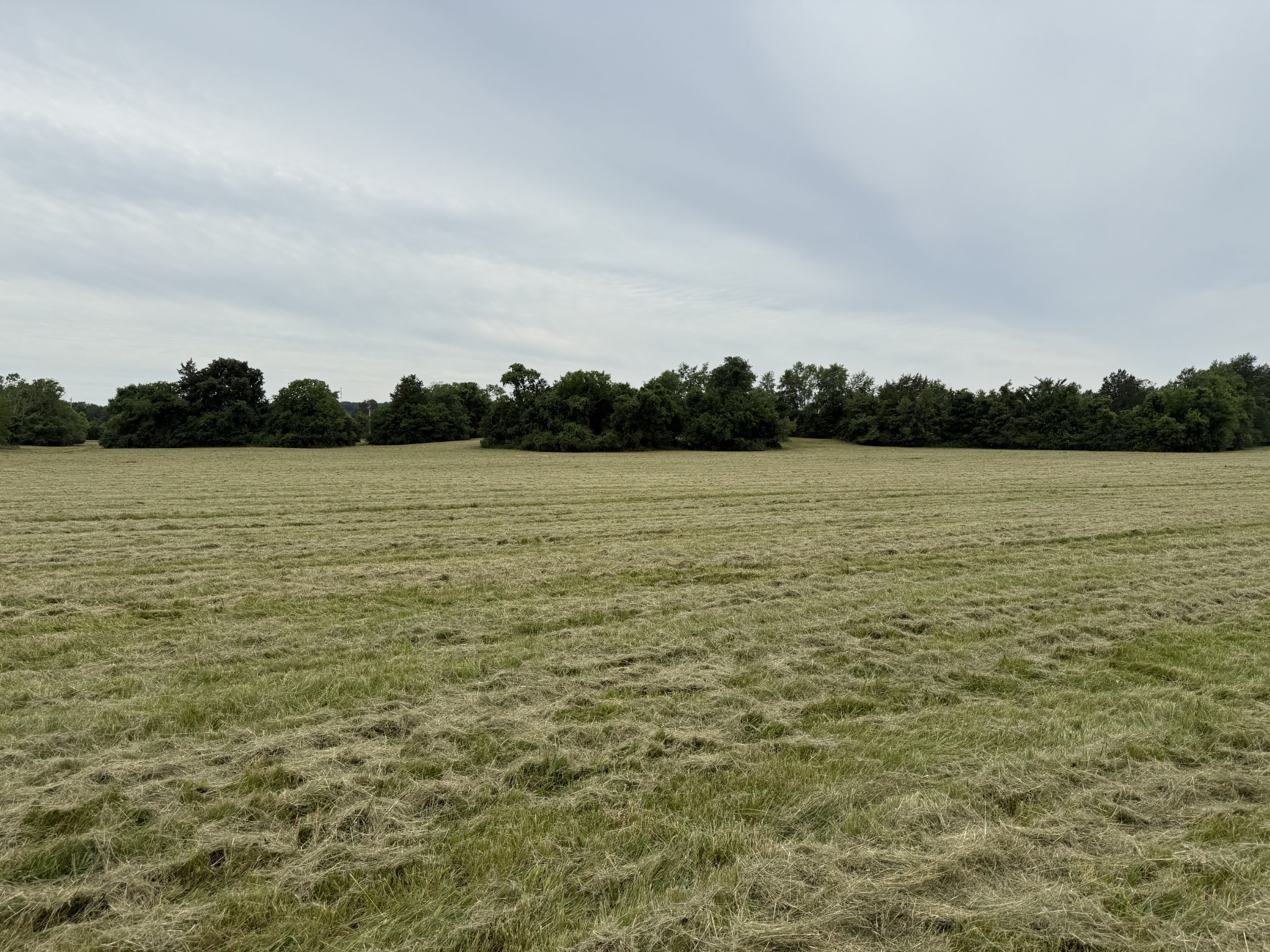 0 Rawls Creek Road Gordonsville, TN 38563 - Photo 6 of 12 a view of an ocean