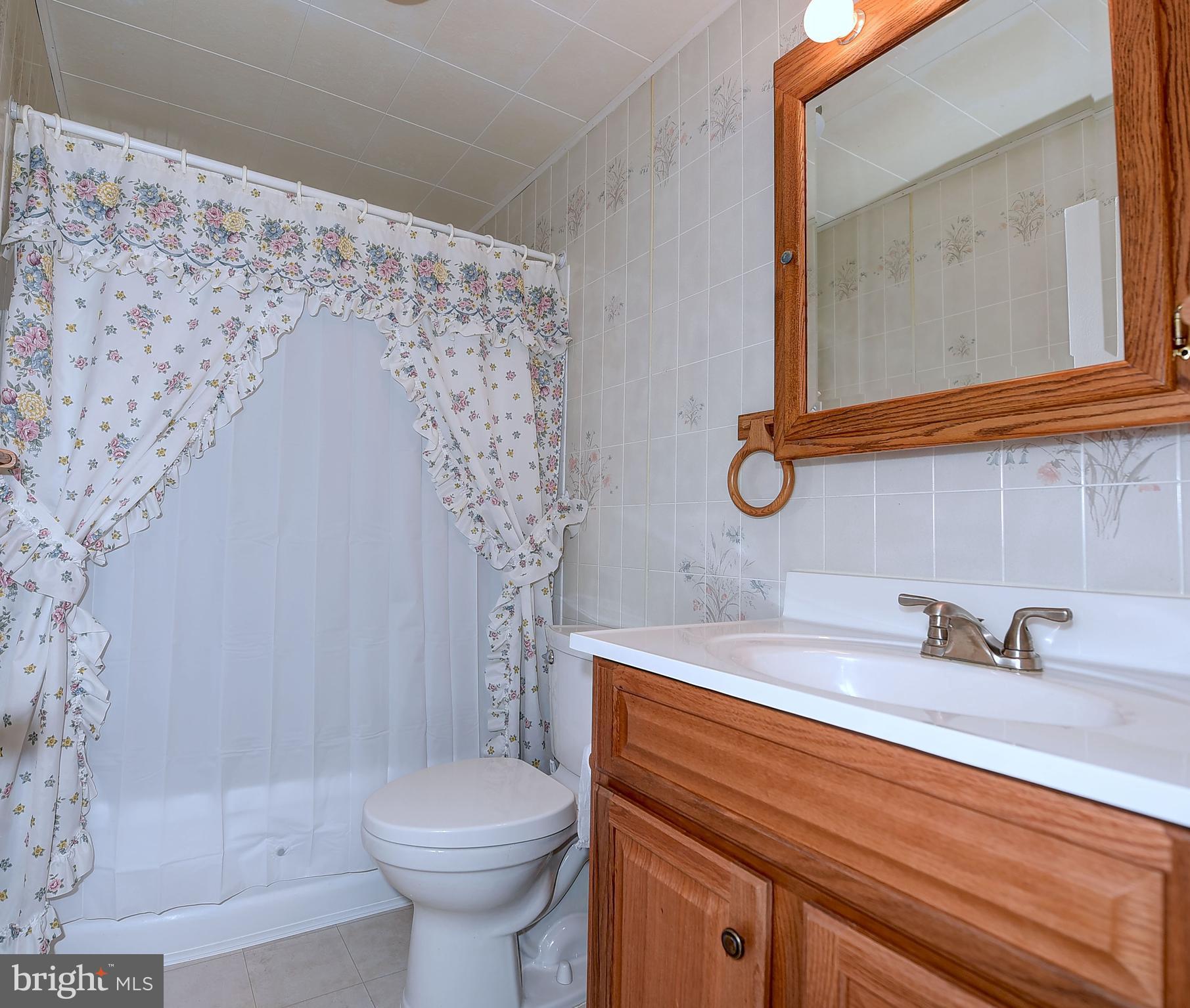 8108 Mid Haven Road Baltimore, MD 21222 - Photo 16 of 28 a bathroom with a sink a toilet and a mirror