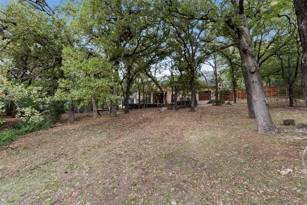 a view of a tree in the middle of a yard