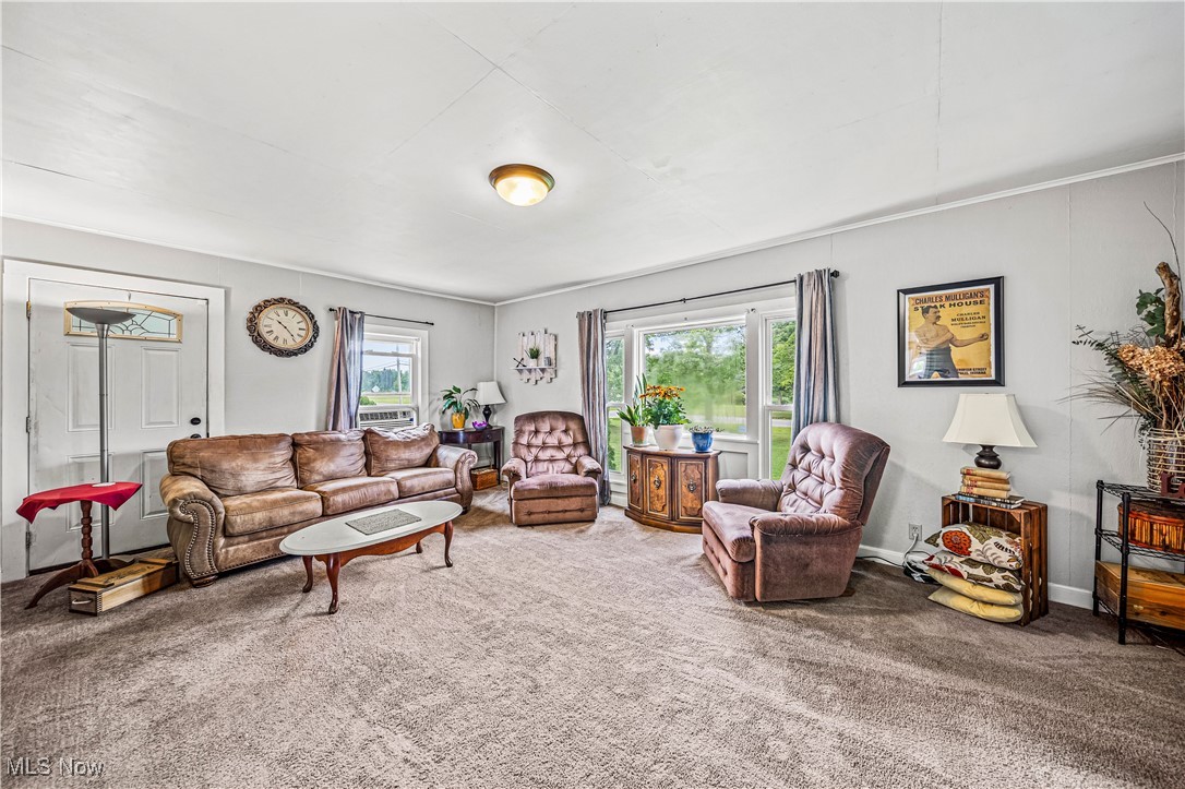 7725 Proctor Road Painesville, OH 44077 - Photo 2 of 33 Gallery Image 2