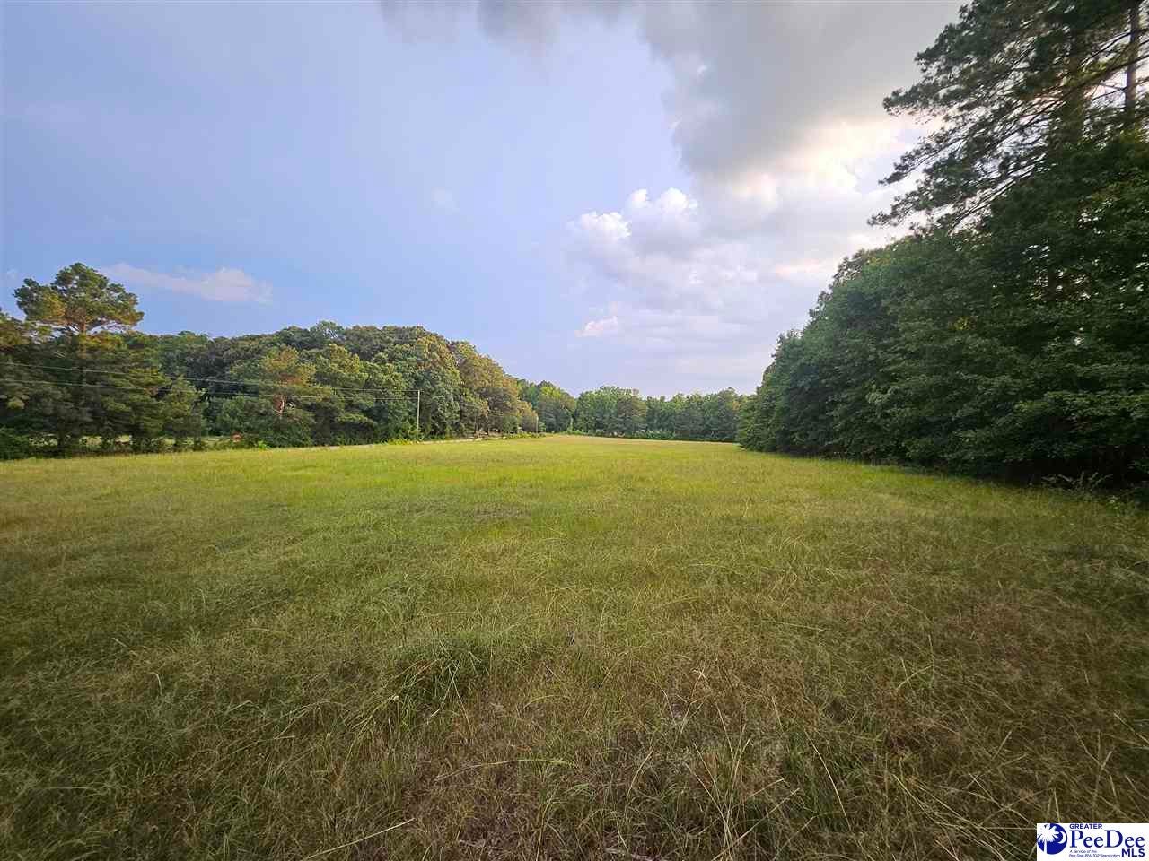 0 Morrison Road Hartsville, SC 29550 - Photo 1 of 5 Gallery Image 1