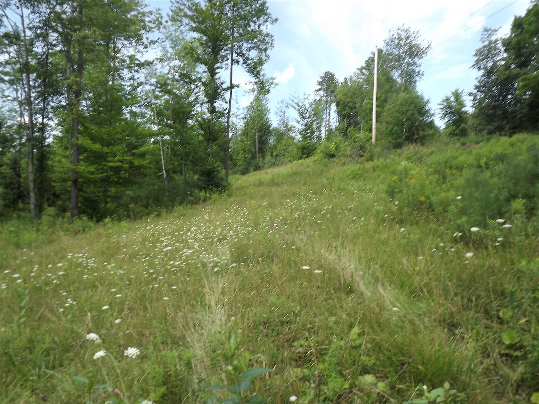 0 Falls Bridge Road, Unit 6 Williamstown, VT 05679 - Photo 1 of 15