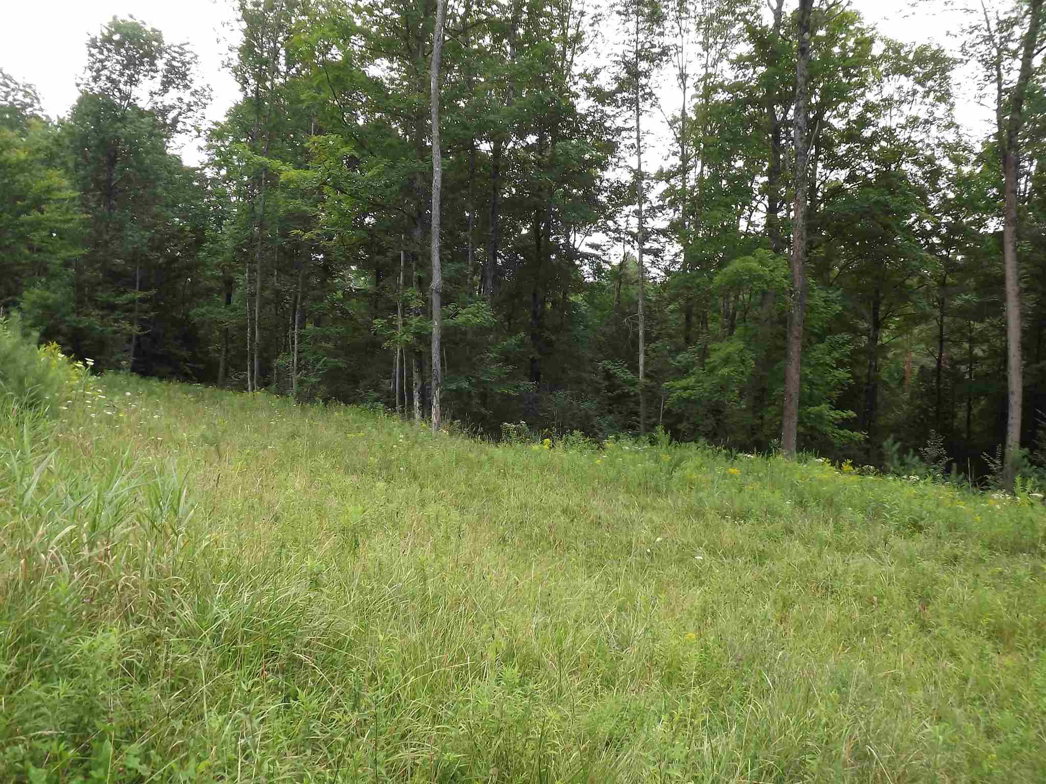 0 Falls Bridge Road, Unit 6 Williamstown, VT 05679 - Photo 2 of 15