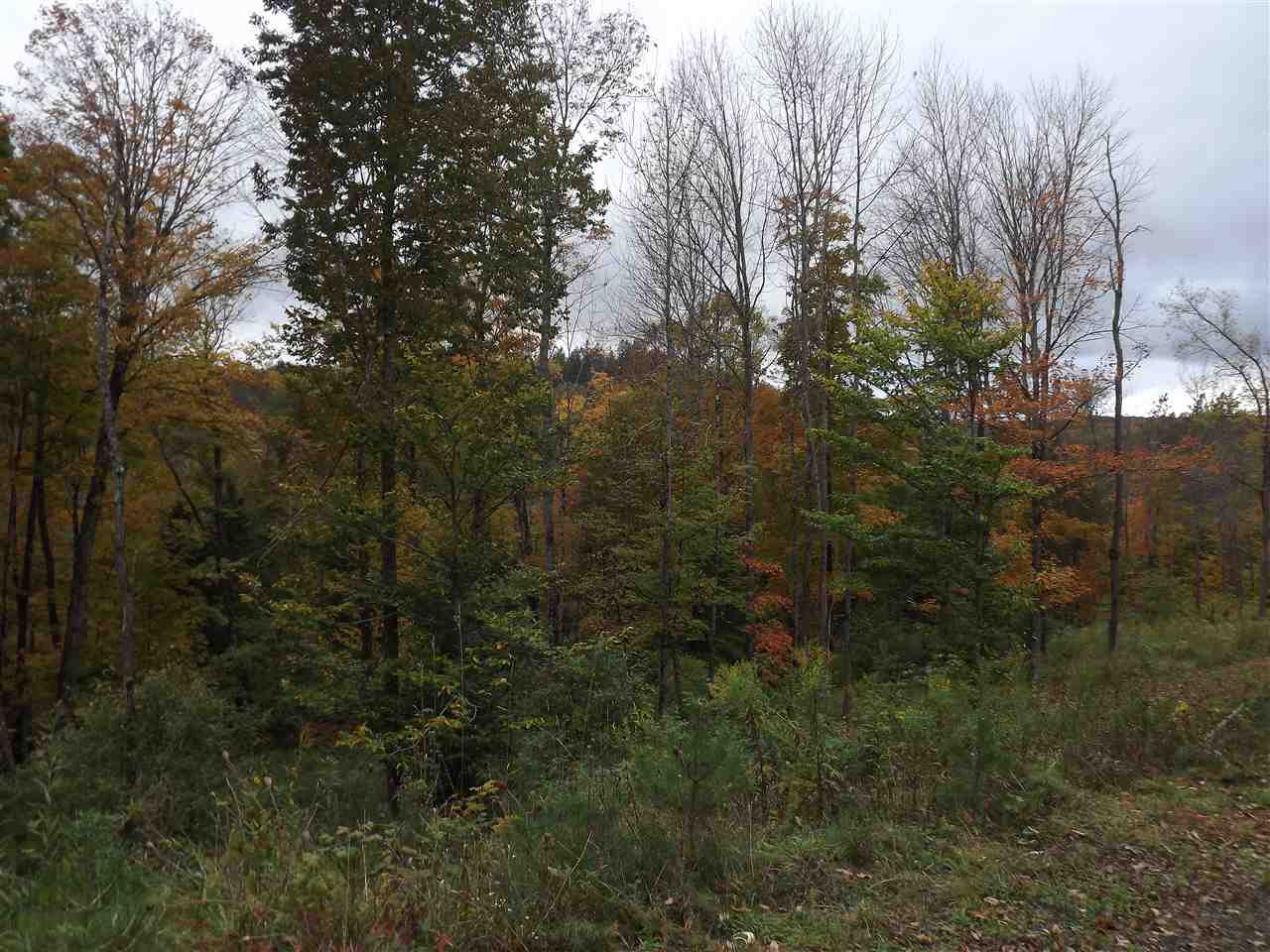 0 Falls Bridge Road, Unit 6 Williamstown, VT 05679 - Photo 11 of 15