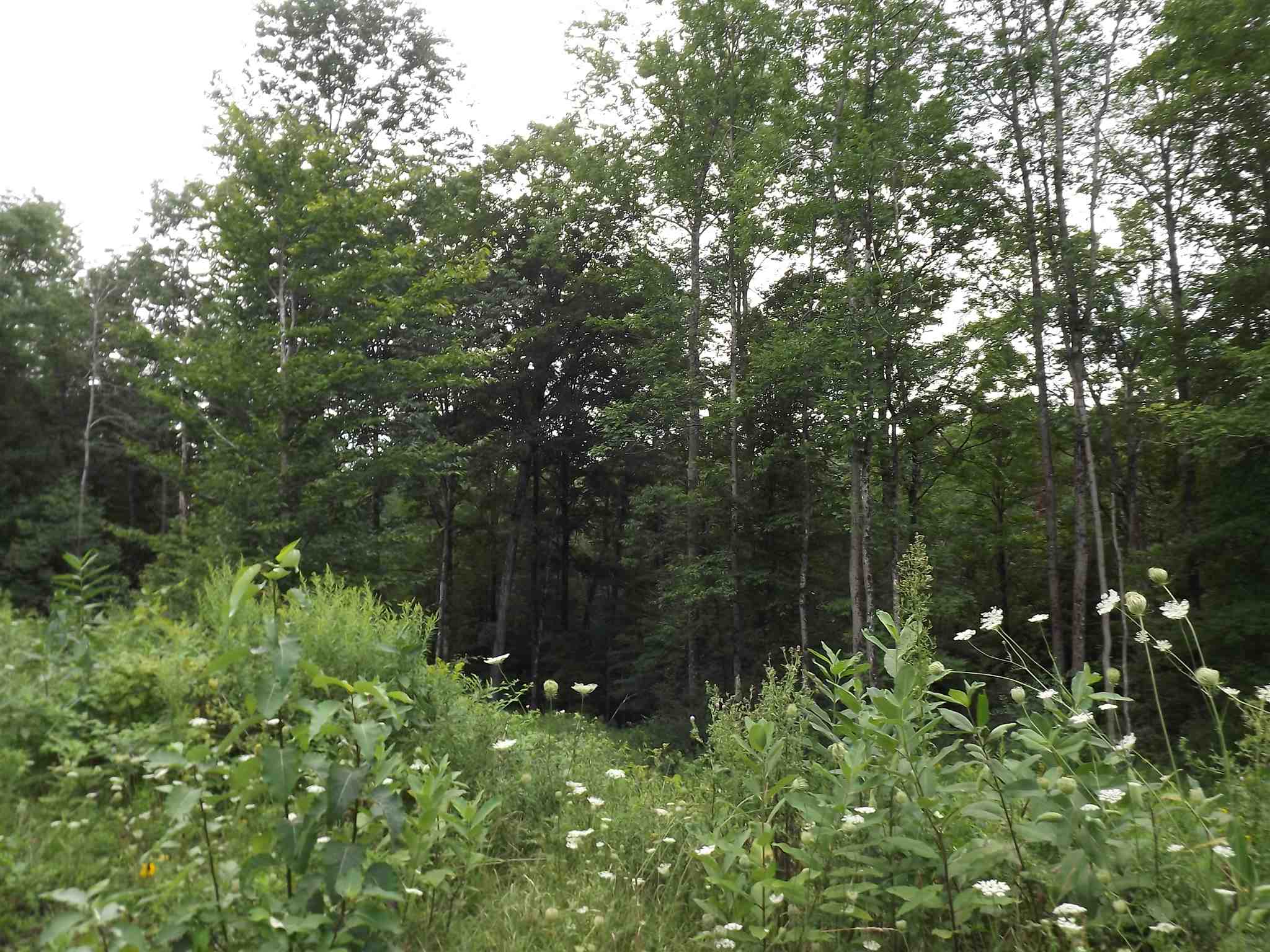 0 Falls Bridge Road, Unit 6 Williamstown, VT 05679 - Photo 14 of 15