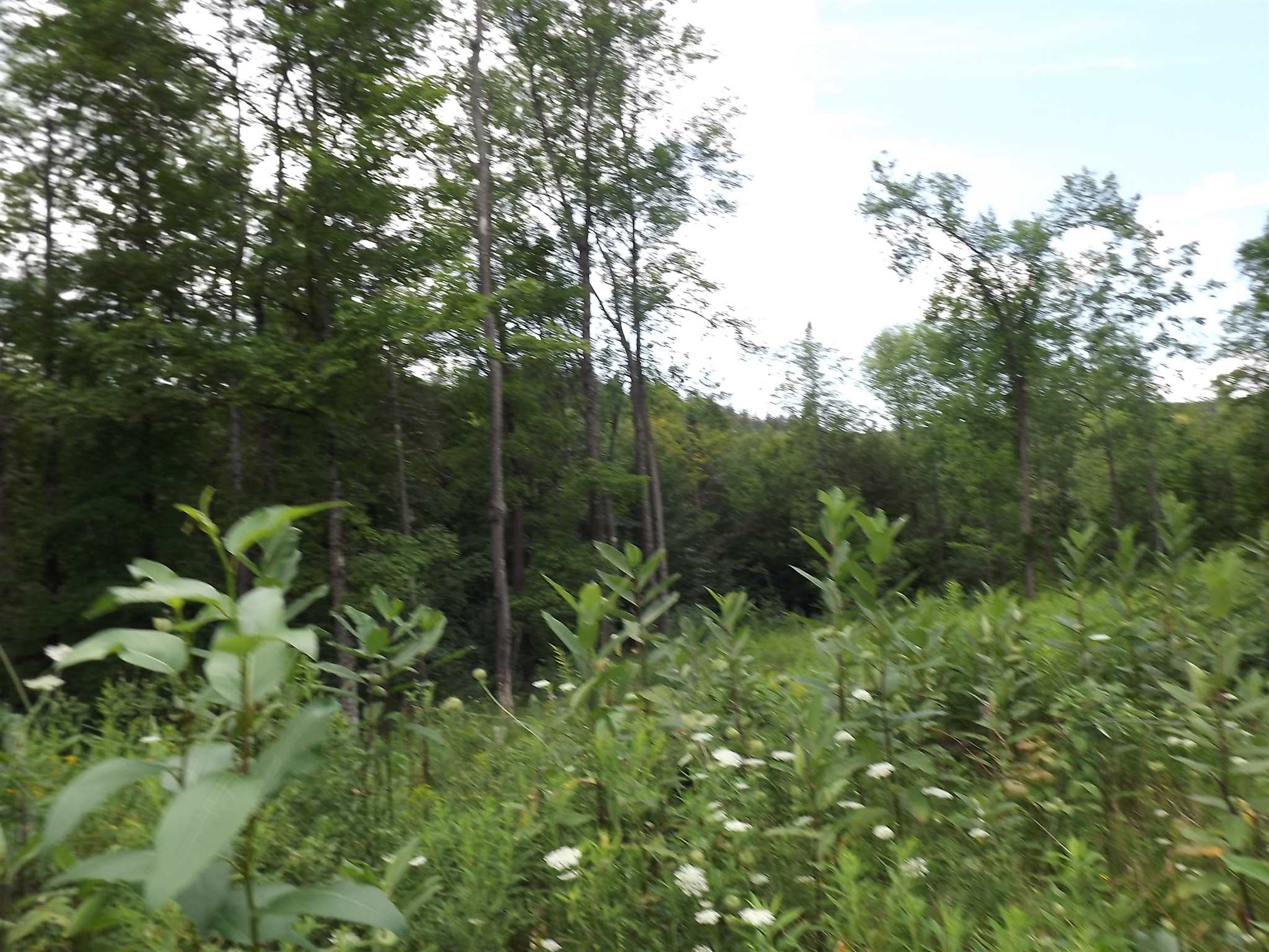 0 Falls Bridge Road, Unit 6 Williamstown, VT 05679 - Photo 15 of 15