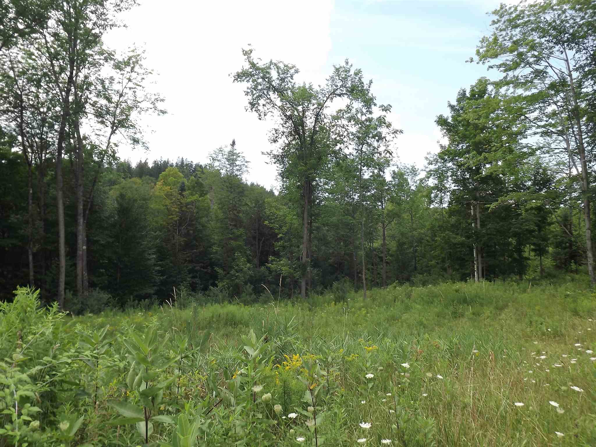 0 Falls Bridge Road, Unit 6 Williamstown, VT 05679 - Photo 3 of 15