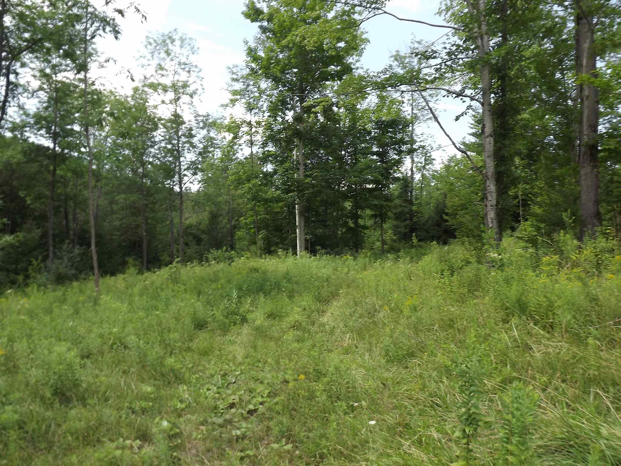 0 Falls Bridge Road, Unit 6 Williamstown, VT 05679 - Photo 4 of 15