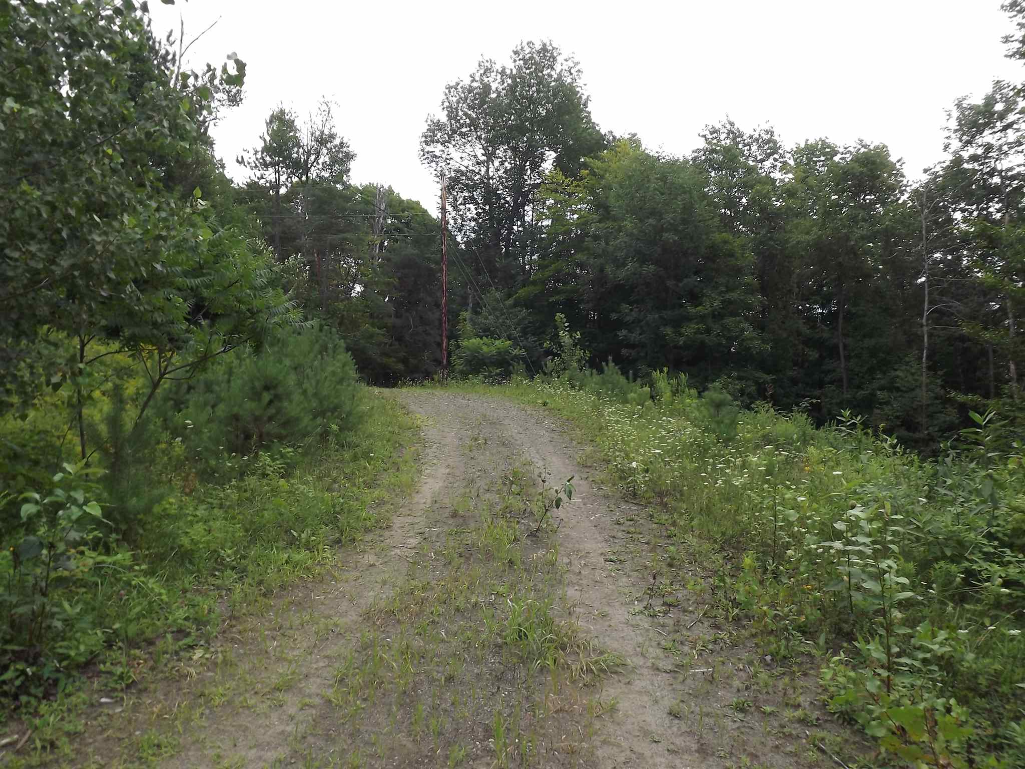 0 Falls Bridge Road, Unit 6 Williamstown, VT 05679 - Photo 5 of 15