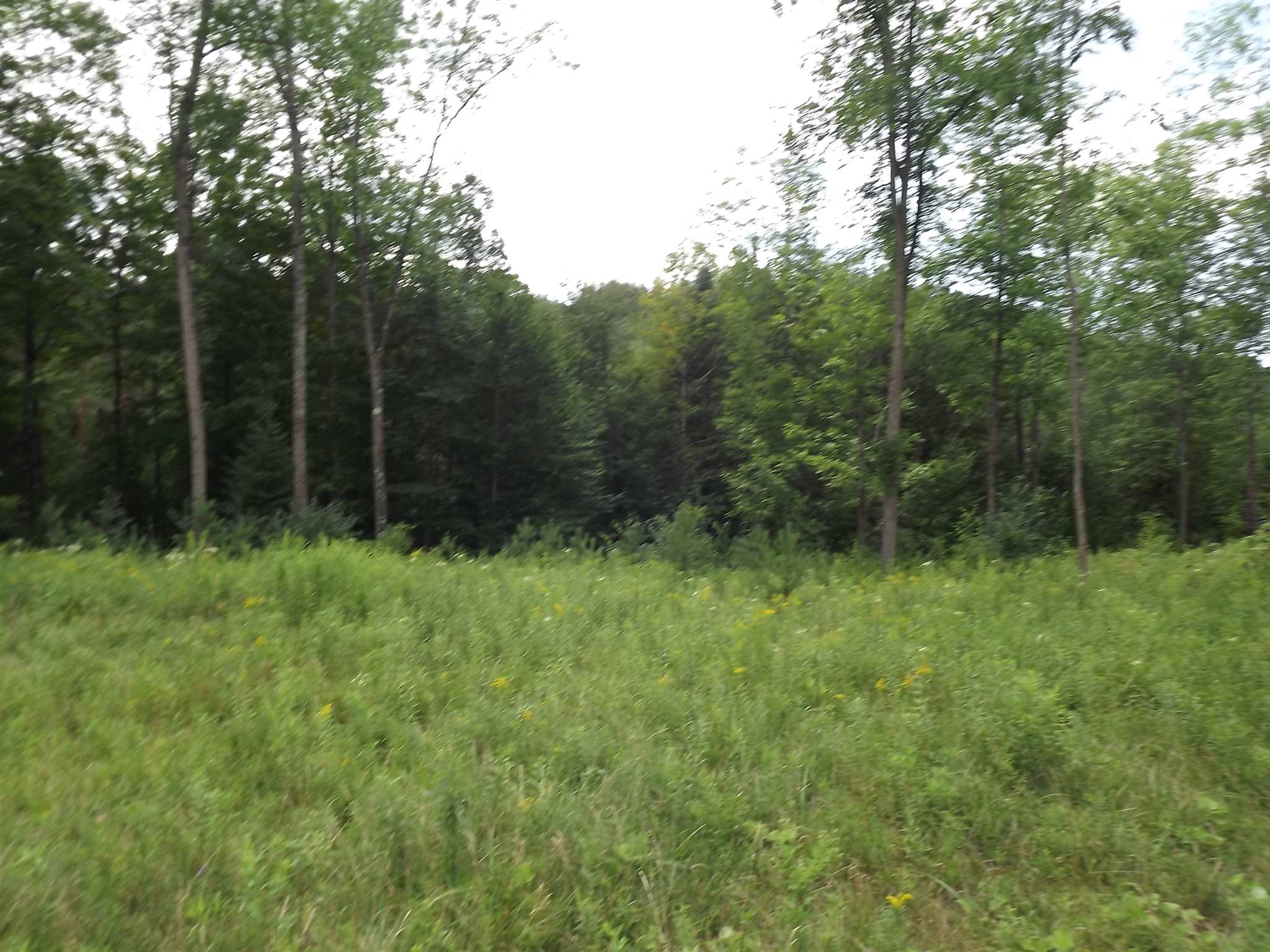 0 Falls Bridge Road, Unit 6 Williamstown, VT 05679 - Photo 6 of 15