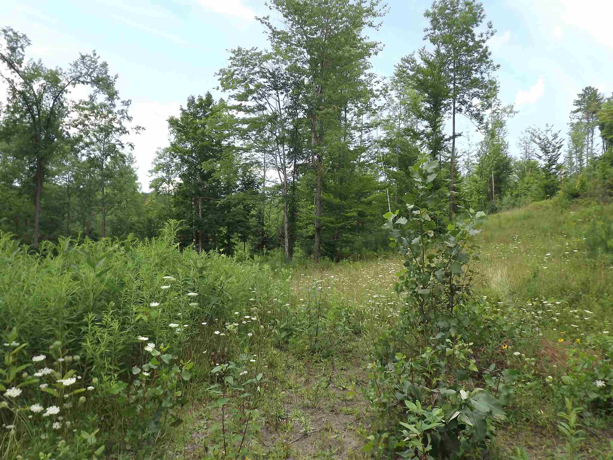 0 Falls Bridge Road, Unit 6 Williamstown, VT 05679 - Photo 7 of 15