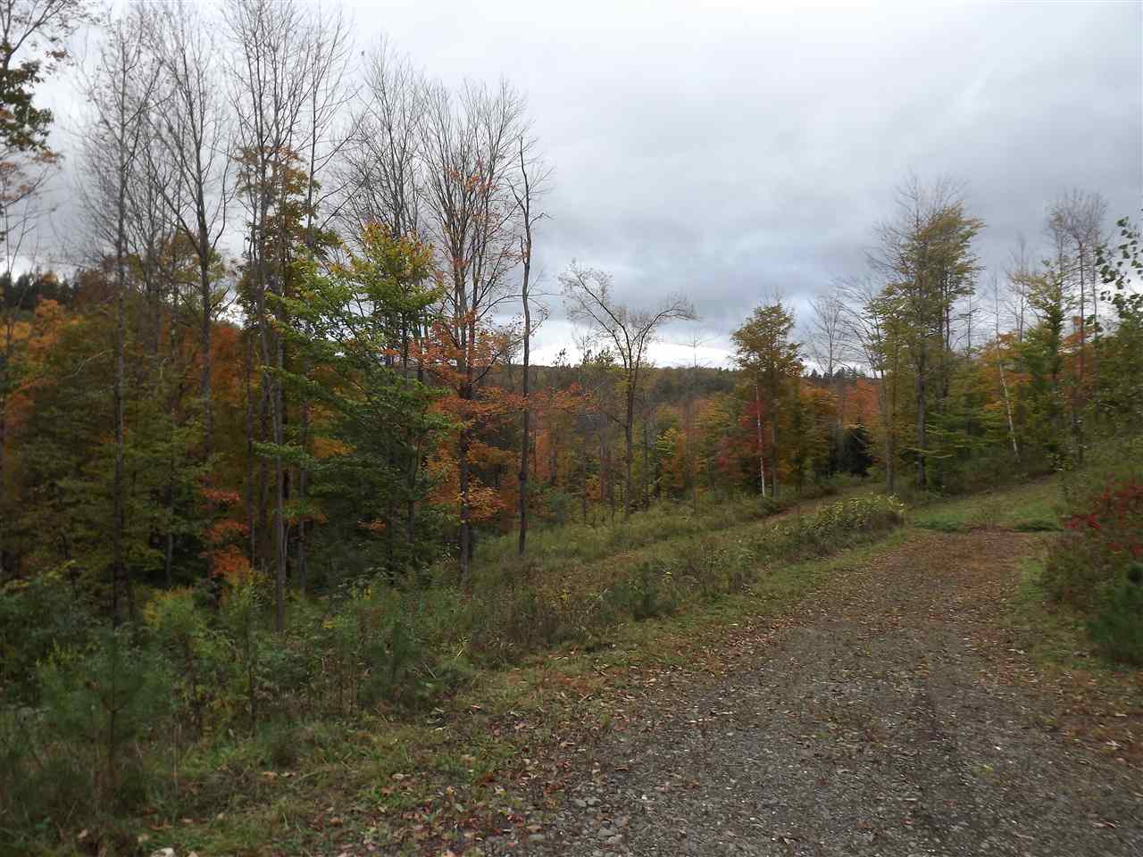 0 Falls Bridge Road, Unit 6 Williamstown, VT 05679 - Photo 8 of 15