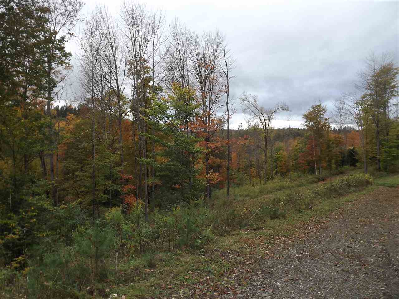 0 Falls Bridge Road, Unit 6 Williamstown, VT 05679 - Photo 10 of 15