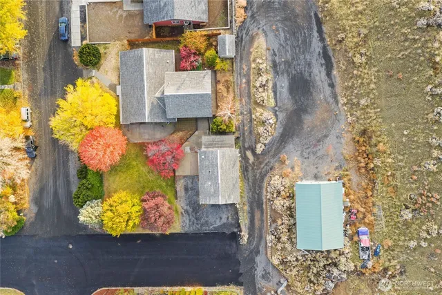 front view of a small yard