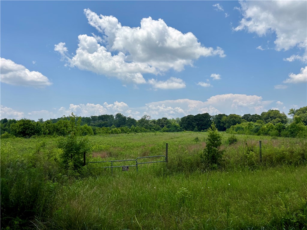 1165 Trotter Road Anderson, SC 29626 - Photo 27 of 28
