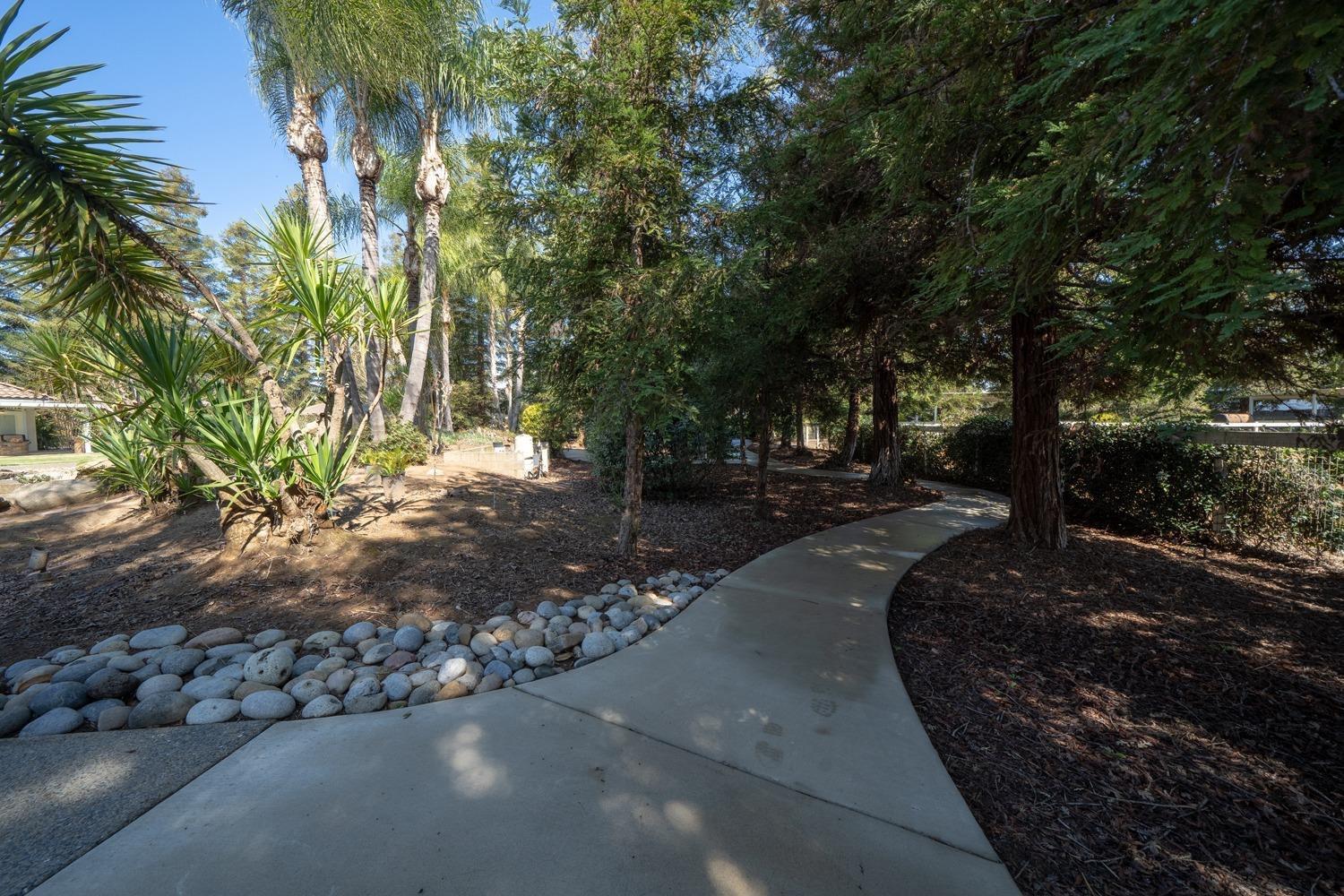 1290 North Applegate Avenue Fresno, CA 93737 - Photo 46 of 65 a view of a street with a tree