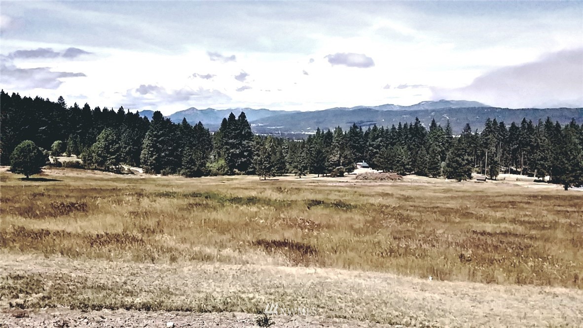 700 Microwave Road Cle Elum, WA 98922 - Photo 17 of 18 Gallery Image 17