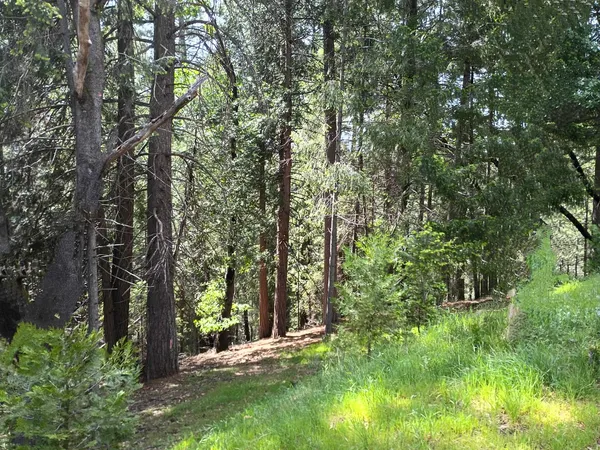 $18,500 | 5662 Daisy Drive, Pollock Pines, CA 95726