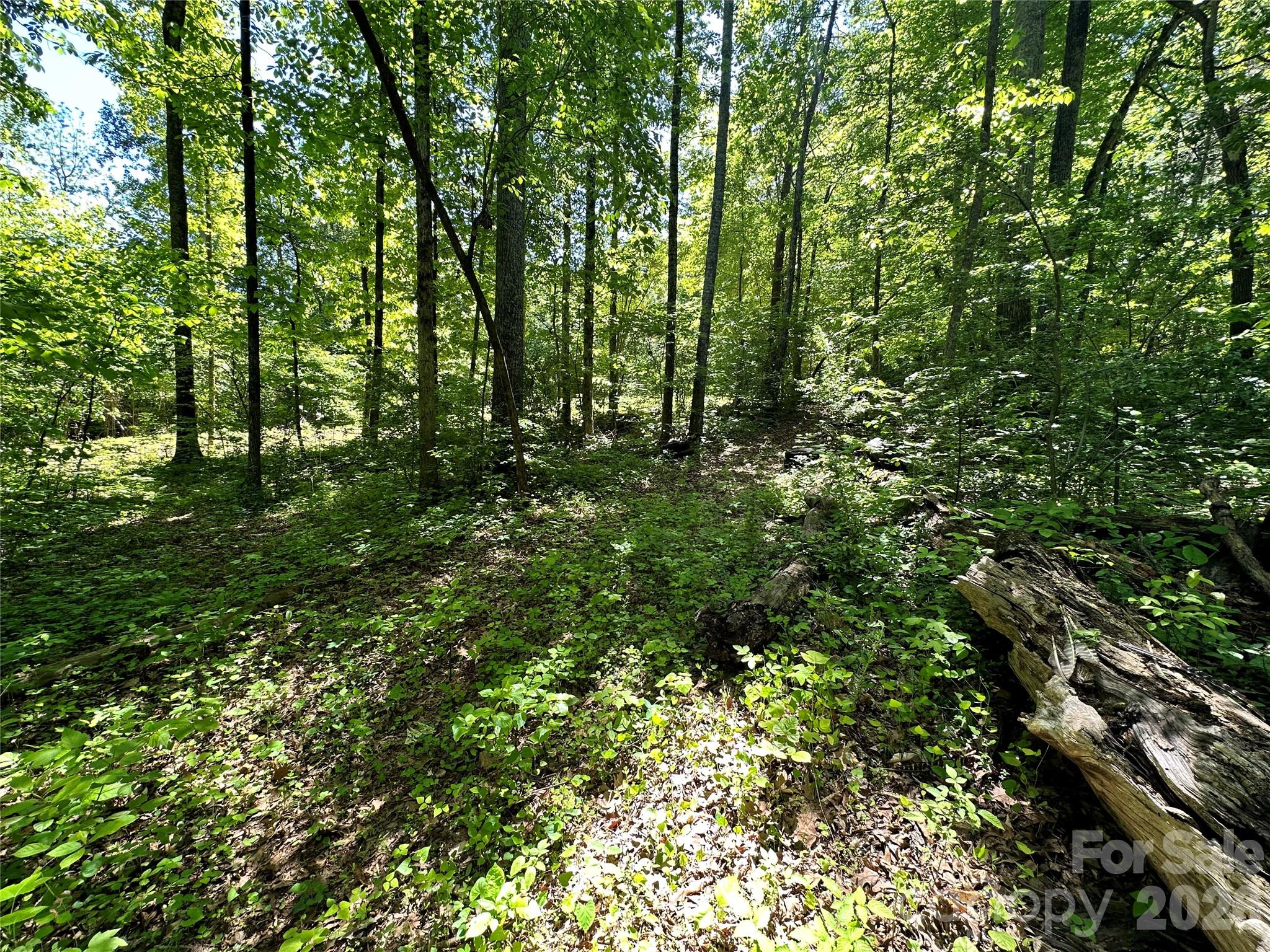 168 Rolling Road Lincolnton, NC 28092 - Photo 24 of 41 Gallery Image 24