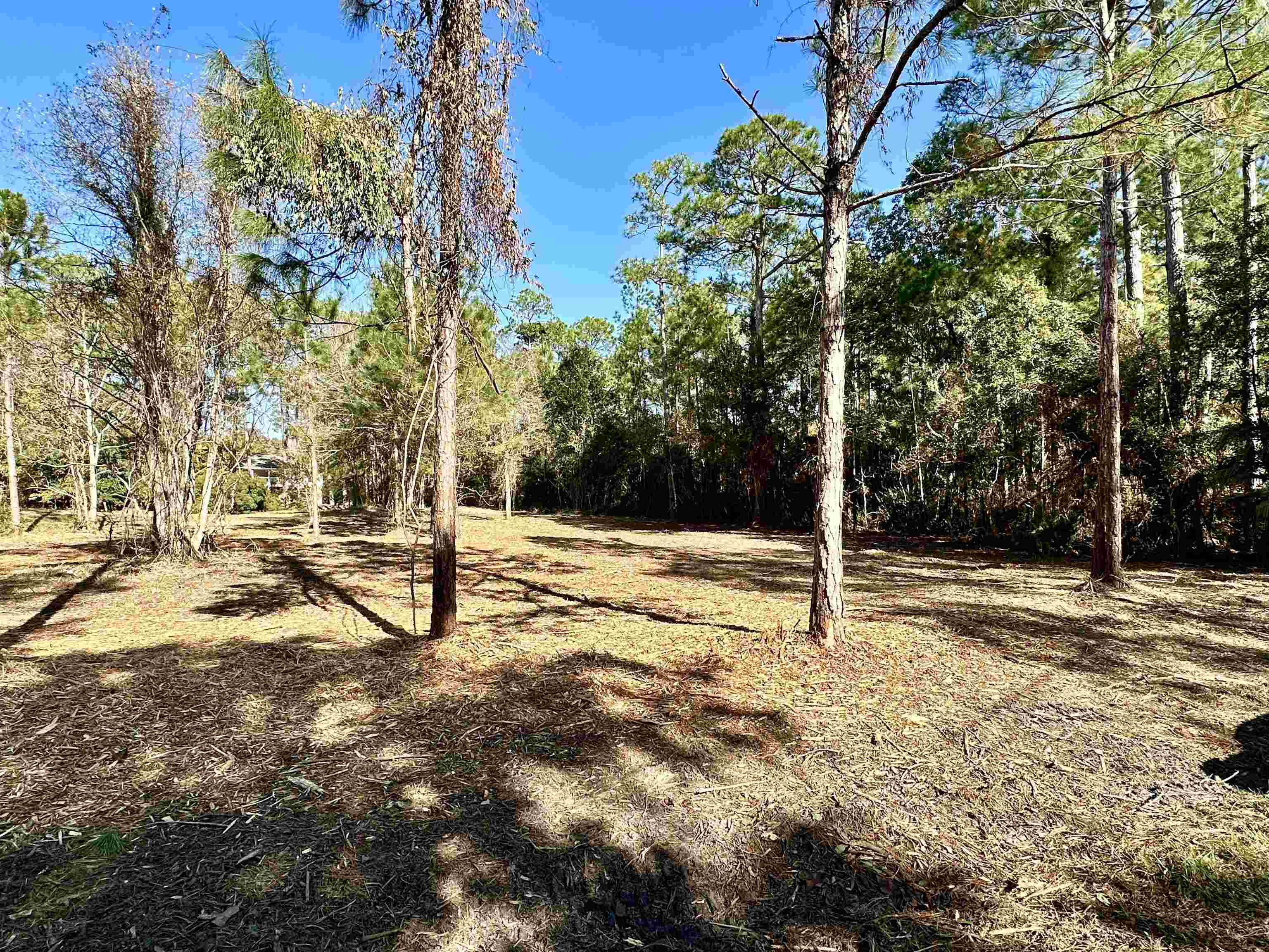 40707 Canal Circle Fairhope, AL 36532 - Photo 6 of 10 Yard