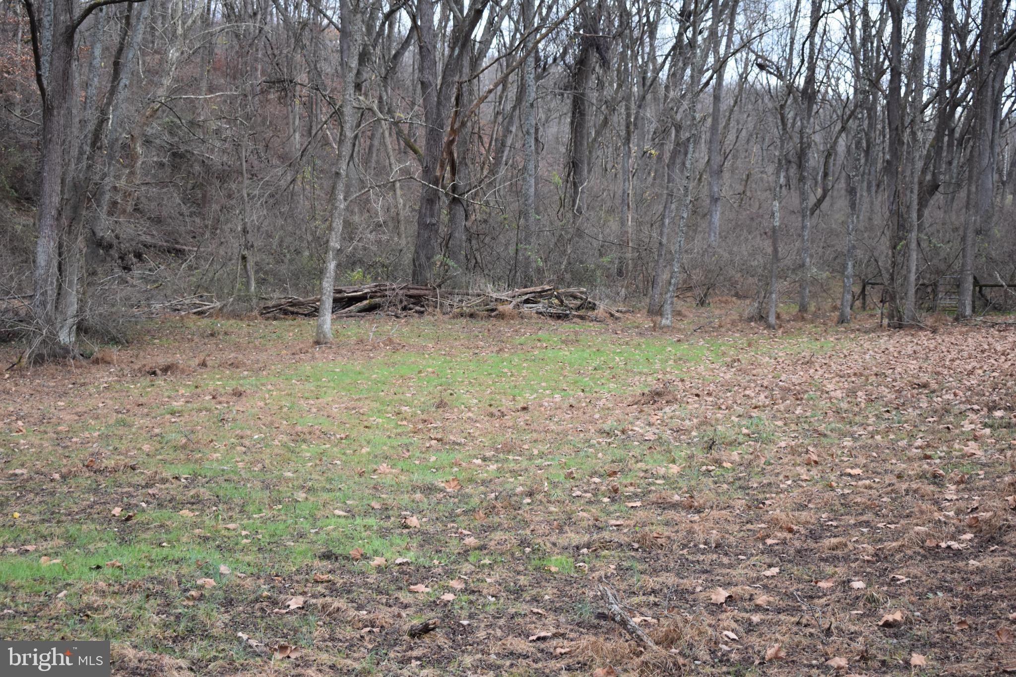 14431 Falls Road Cockeysville, MD 21030 - Photo 8 of 15 Gallery Image 8