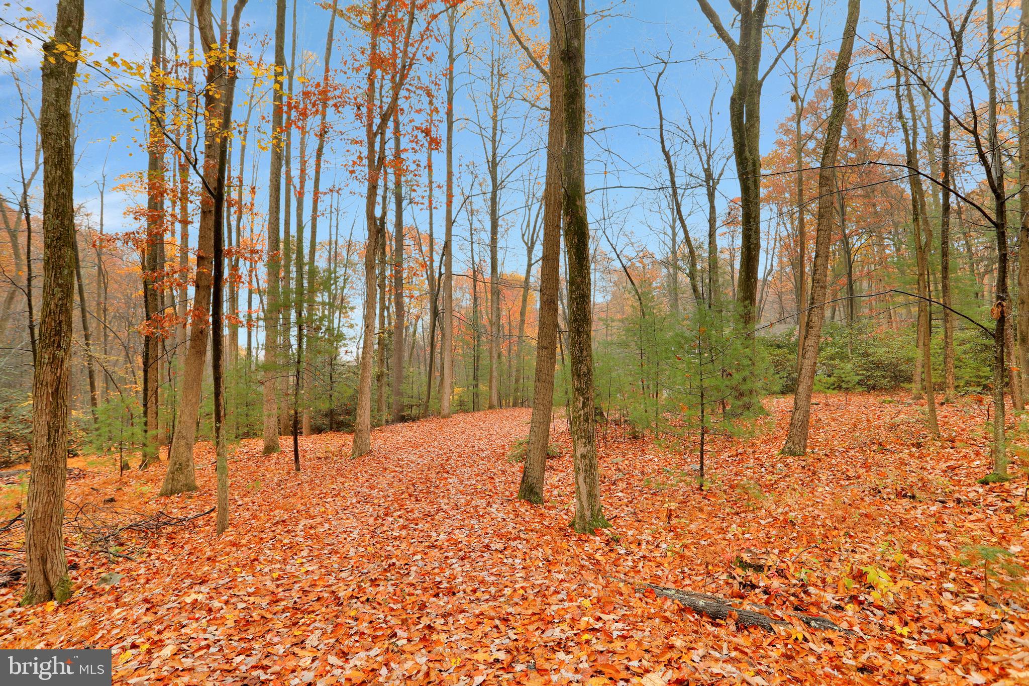 70 Wagner Road Fayetteville, PA 17222 - Photo 20 of 26 Gallery Image 20