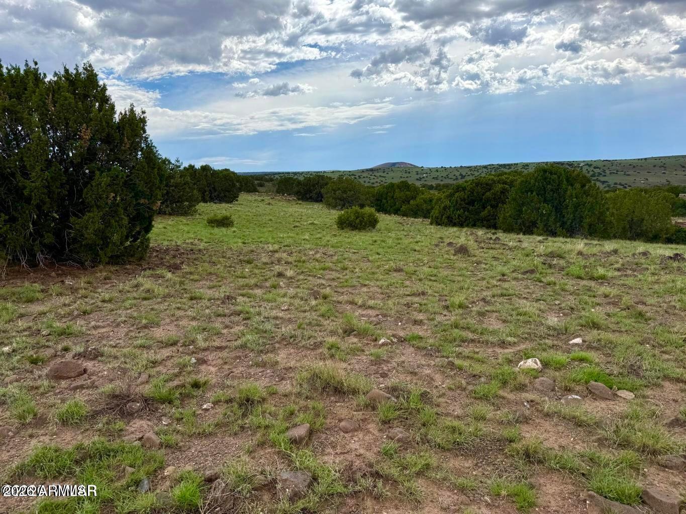 121-125 & 129 Co Road Concho, AZ 85924 - Photo 9 of 17 20260727072952618230000000-o
