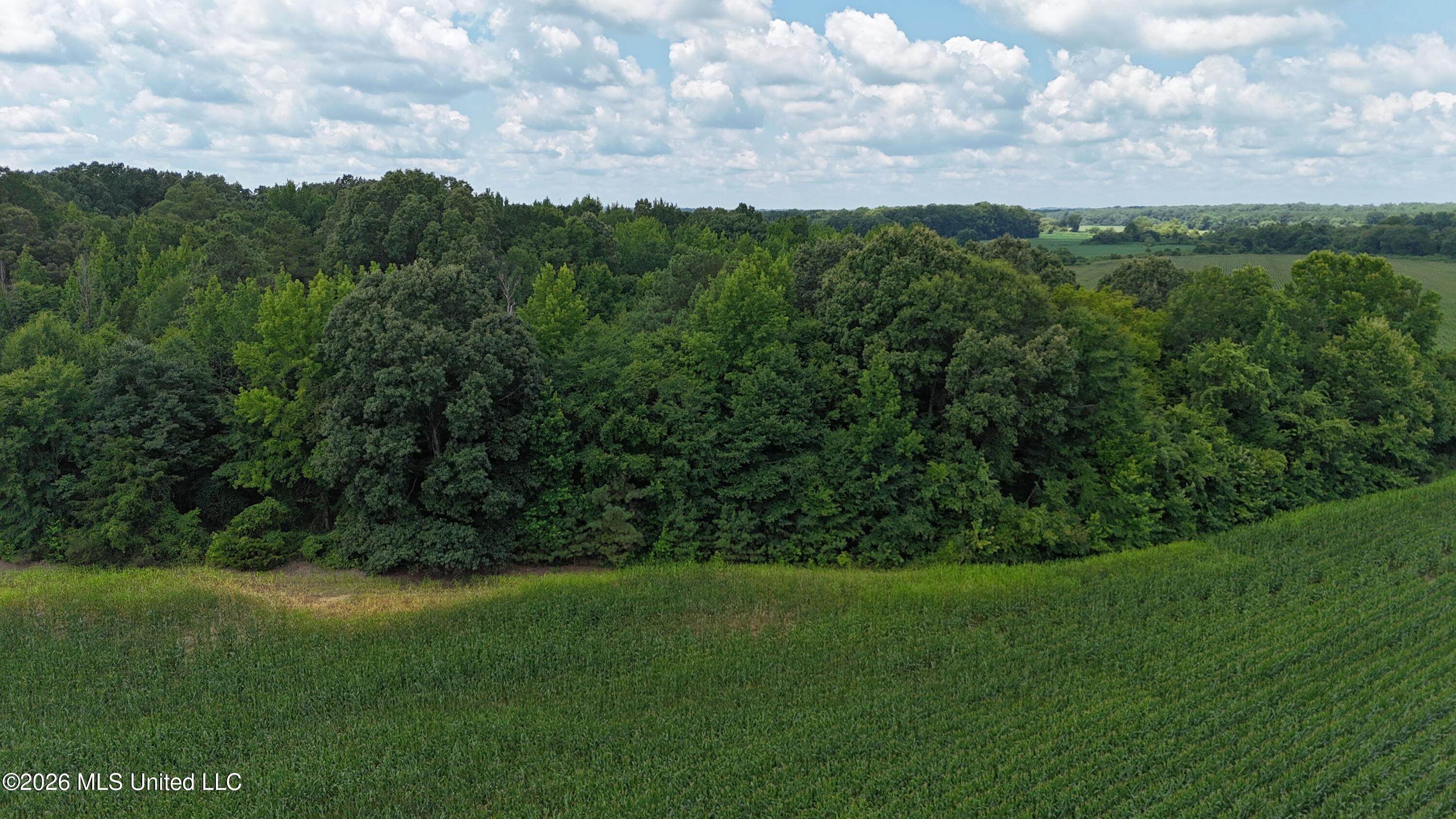 Barr Road Coldwater, MS 38618 - Photo 11 of 19 DJI_20260706120244_0048_D