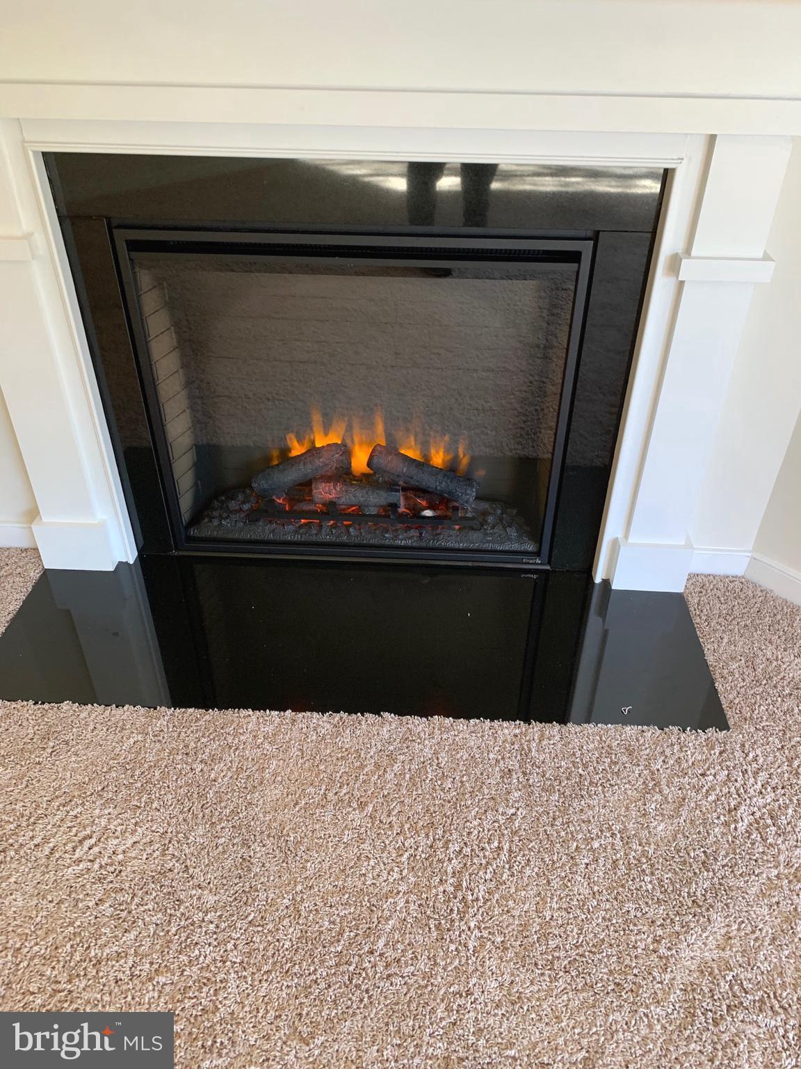 8970 Fascination Court, Unit 111 Lorton, VA 22079 - Photo 13 of 60 New Fireplace