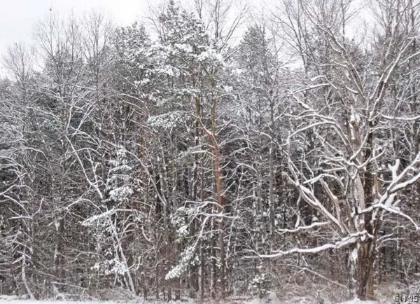 $100,000 | Red School Road, Salisbury Center, NY 13454