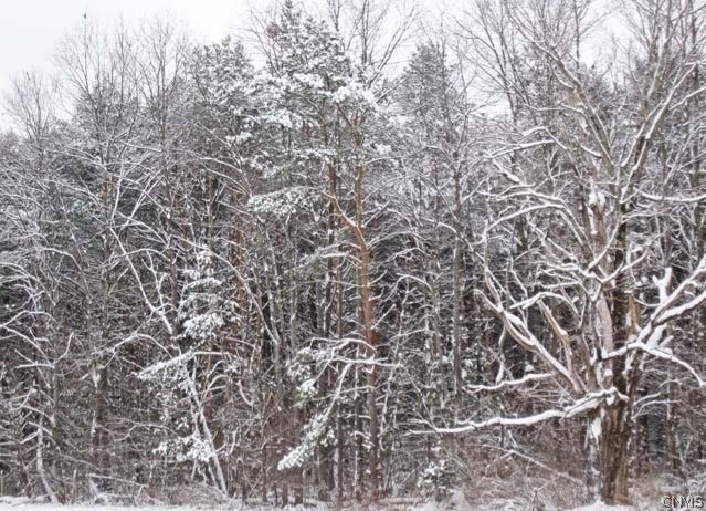 Red School Road Salisbury Center, NY 13454 - Photo 2 of 5
