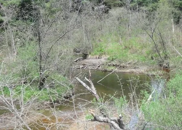 $100,000 | Red School Road, Salisbury Center, NY 13454